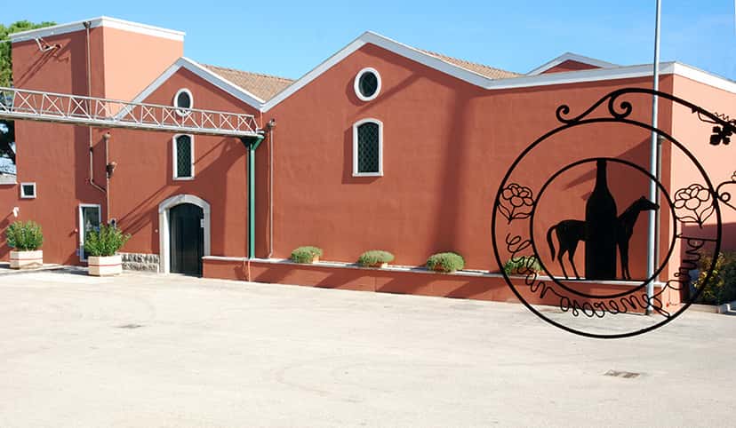 Weinprobe und Tour in Rivera