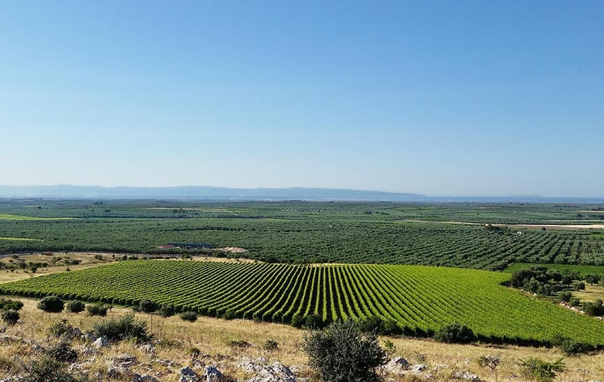 Rivera Winery