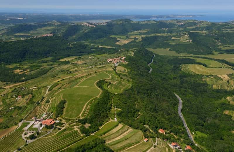Cata de vinos y visita a Bodega Santomas