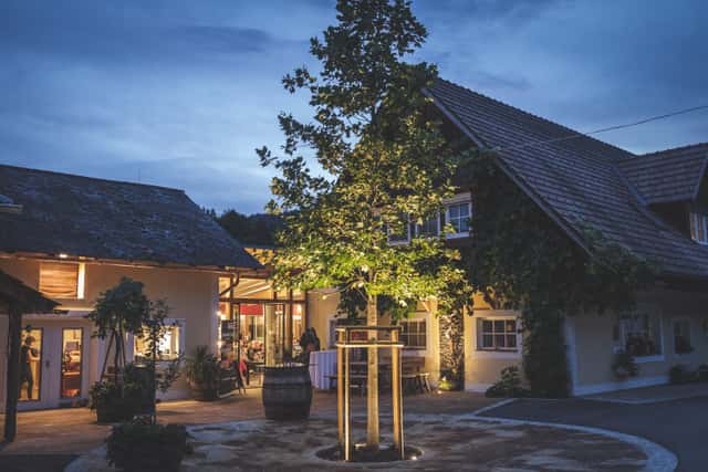 Schilcherei | Weingut Jöbstl