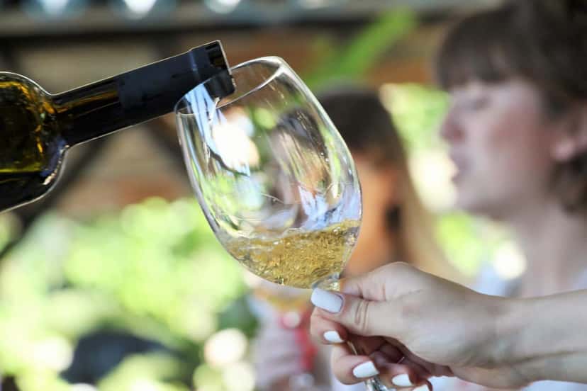 VINOBIZA | Degustação de vinhos e tour na vinícola Shumi