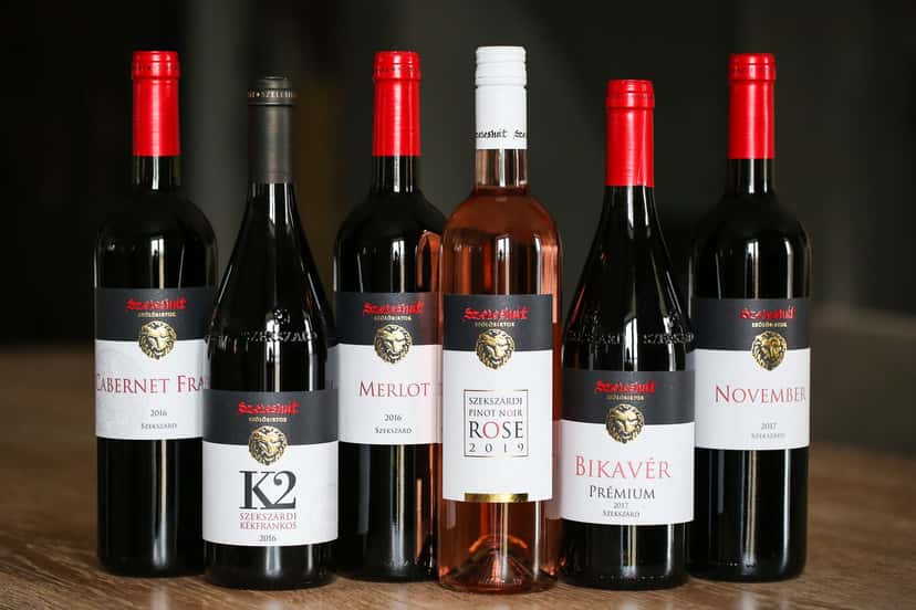 Cata de vinos y visita guiada a la finca Szeleshát