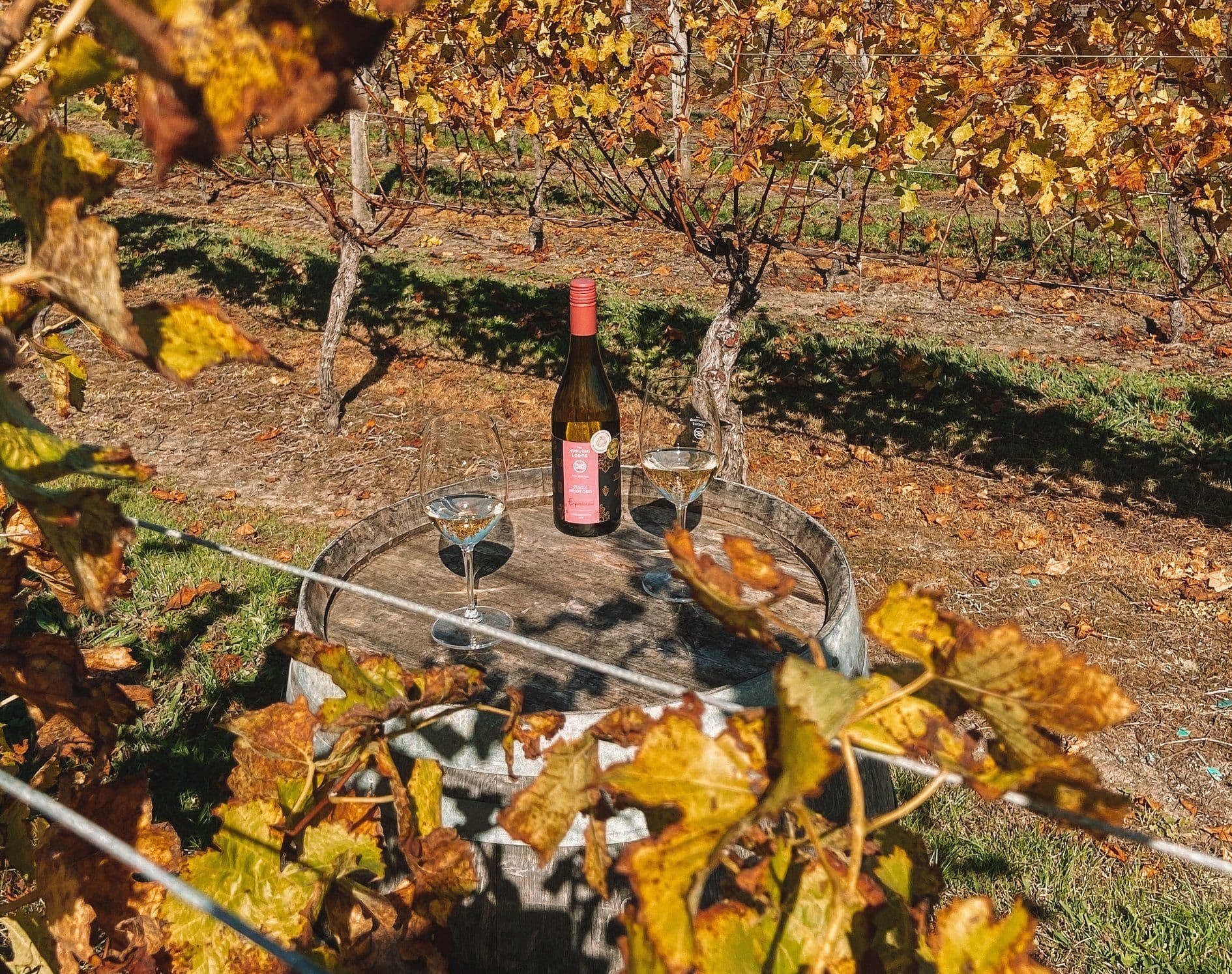 The Hunting Lodge Winery