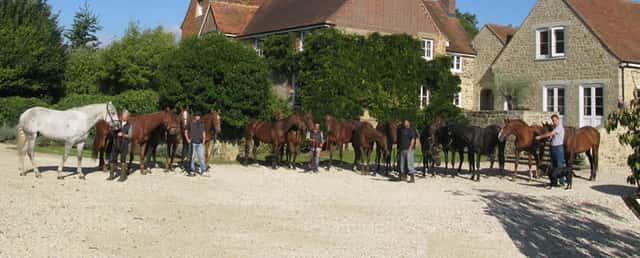 Trotton Estate Vineyards