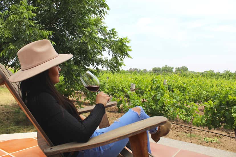 Weinprobe und Tour bei Viña Las Cruces