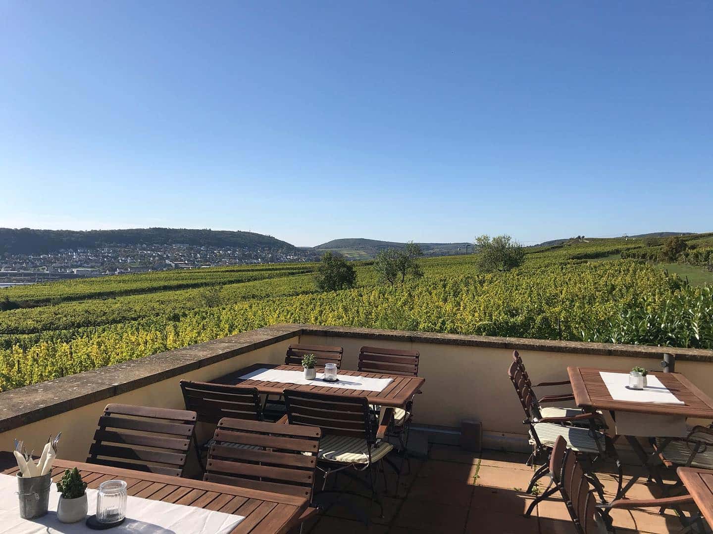 Weinprobe und Führung im Weingut Adolf Störzel