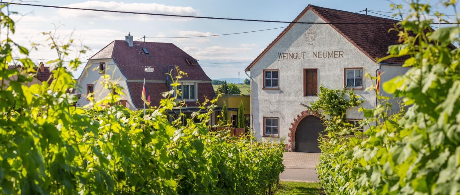 Weingut Jakob Neumer