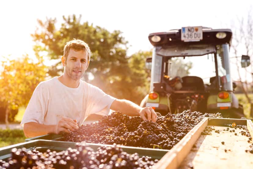 Weingut Klaus Nittnaus