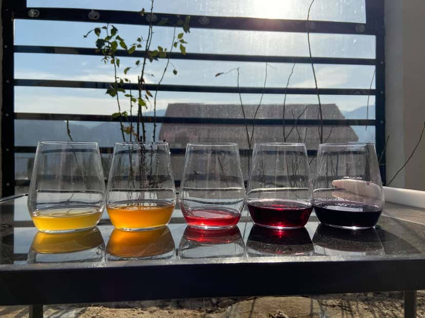 Kartli Wine Journey: Tasting & Cellar Tour