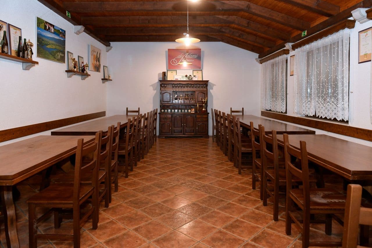 Dégustation de vins et visite à Zaloščan Vina De Adami