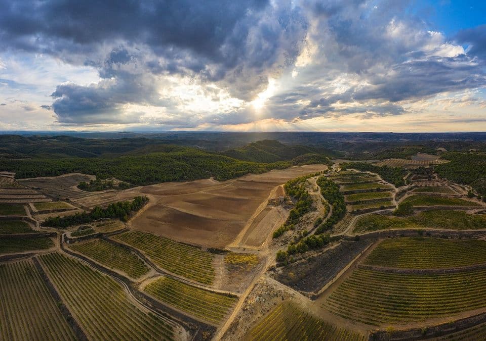 Weinprobe und Tour bei Altavins Viticultors