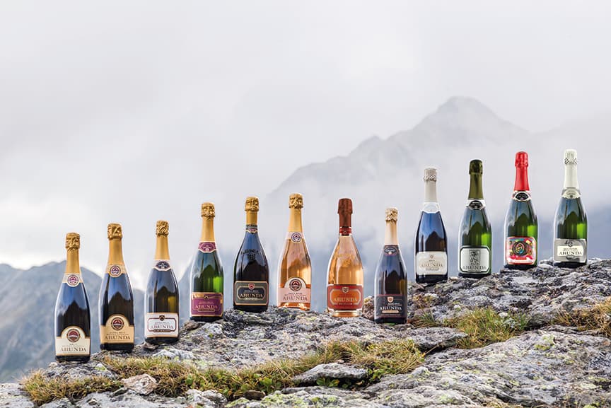 Dégustation de vins et visite à Arunda
