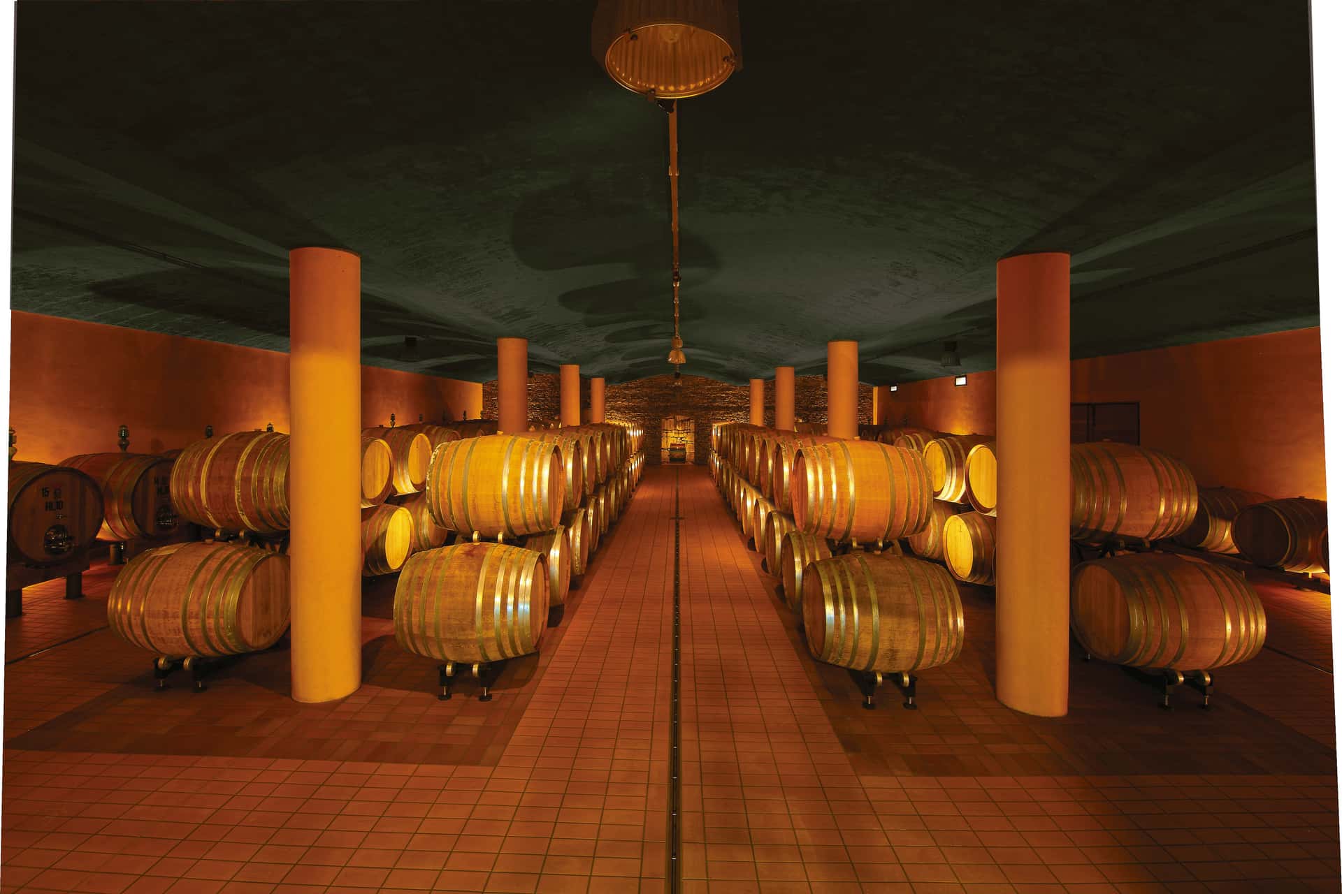 Wine tasting and tour at Azienda Agricola Talenti