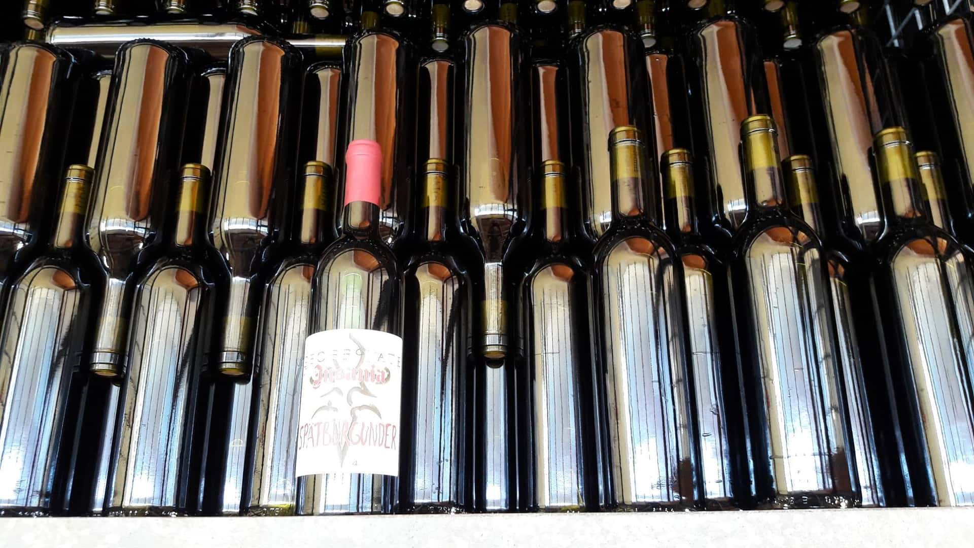 Degustação de vinhos no Biolandhof Rinklin