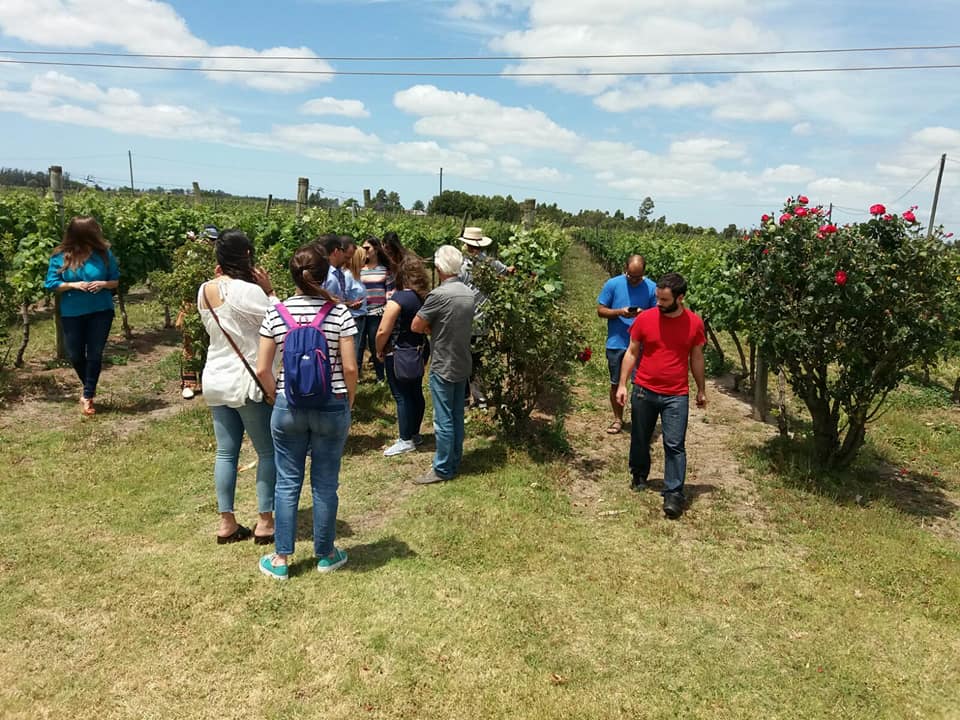 Bodega J. Chiappella foto 3