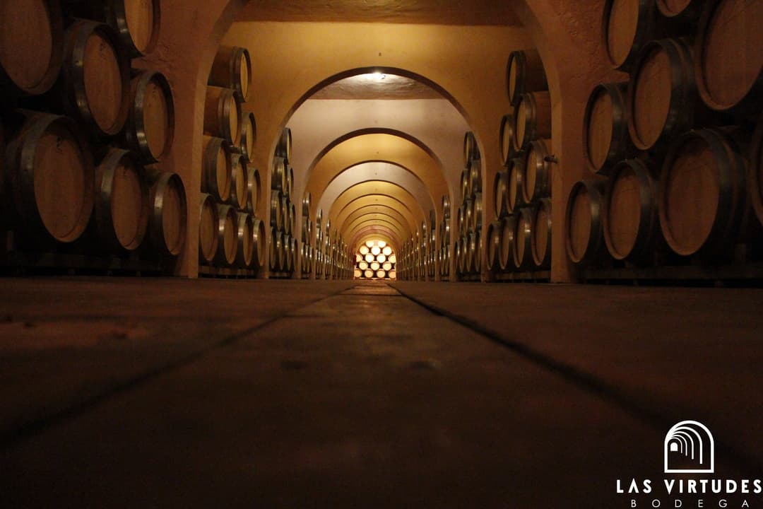 bodega-las-virtudes-cellar-coridor_atcfna_qoncgx