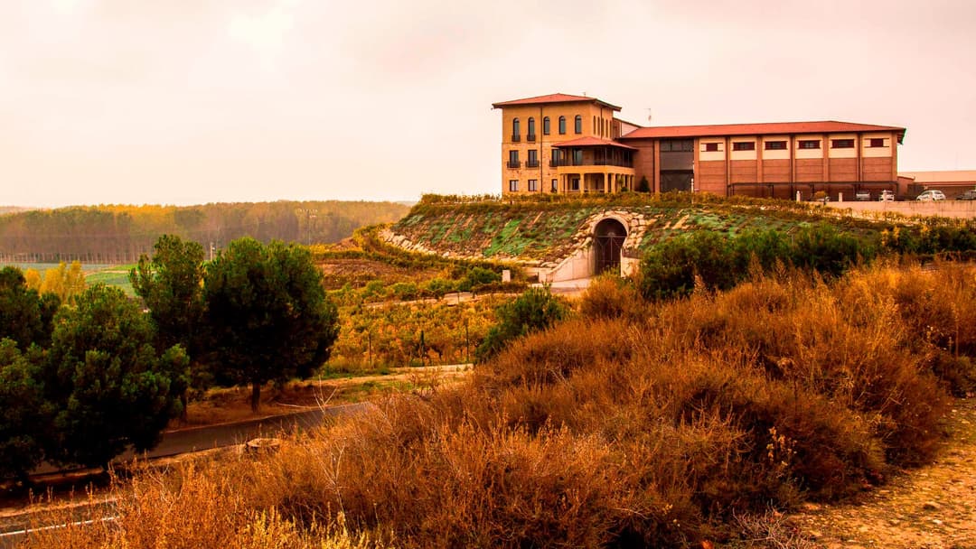 bodegas-manzanos-landscape_iqiqfa_jjxhl3