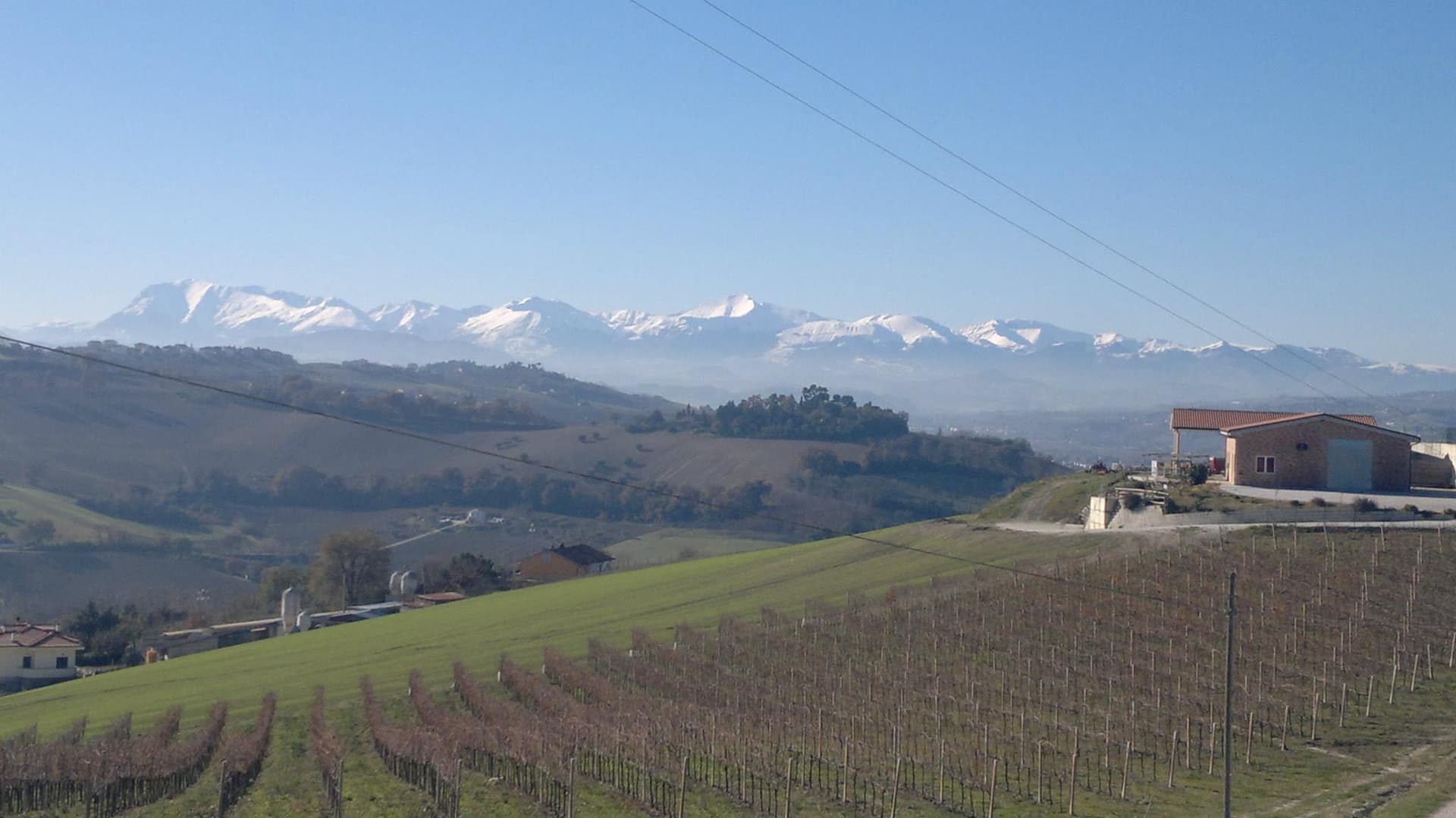 Cantina Ortenzi foto 1