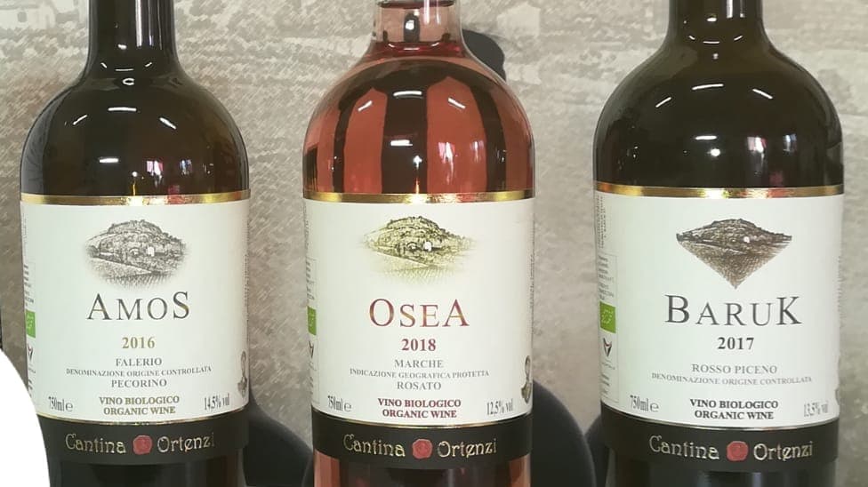 Cantina Ortenzi foto 2