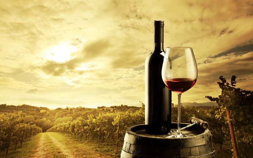 Explorar todas as provas de vinho em Offida