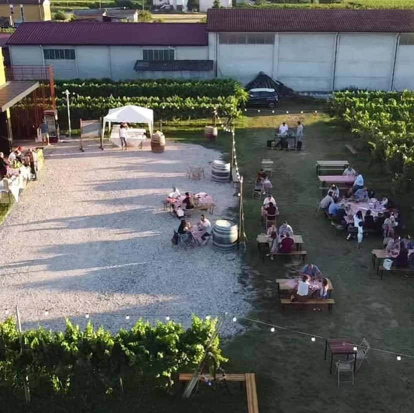 Degustação de vinhos e tour na Cantina Randi