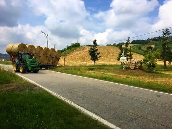 Cascina Vèngore foto 2