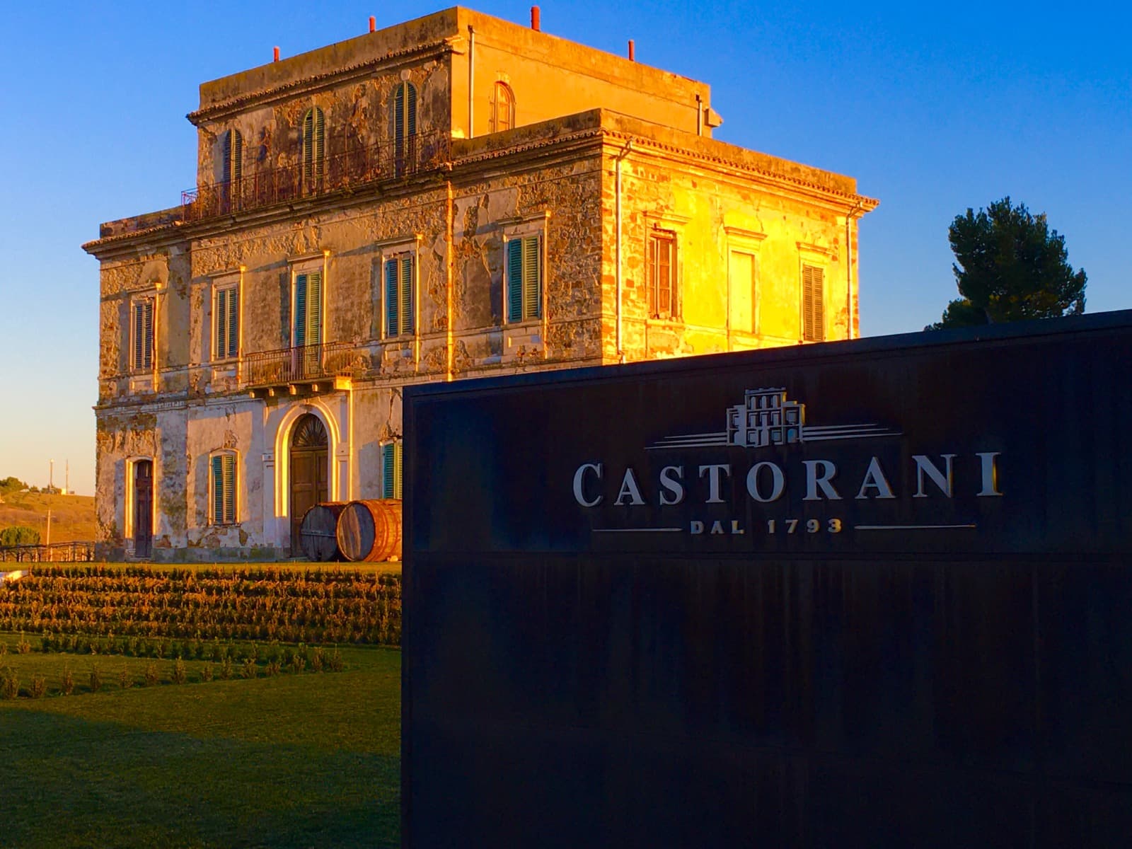 Castorani Winery foto 3
