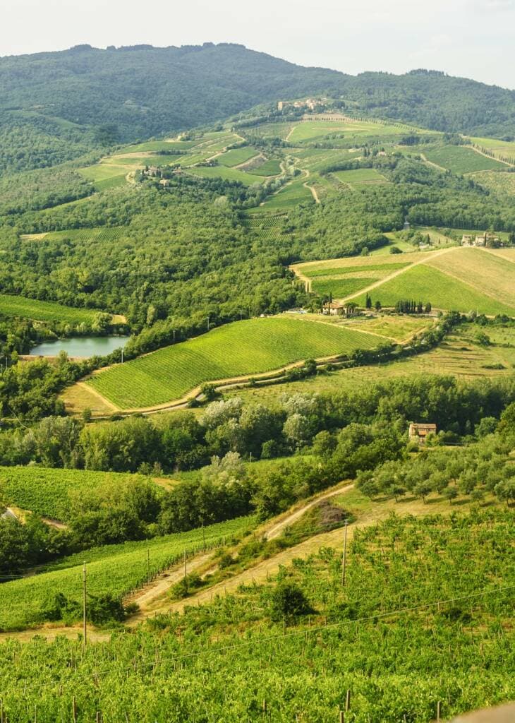 Chiani-in-tuscany-italy-730x1024