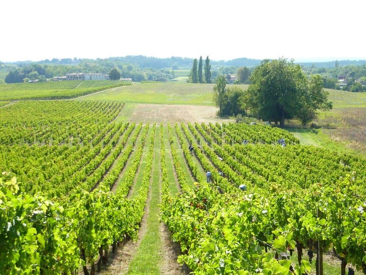 Vinprovning och rundtur på Clos Monicord