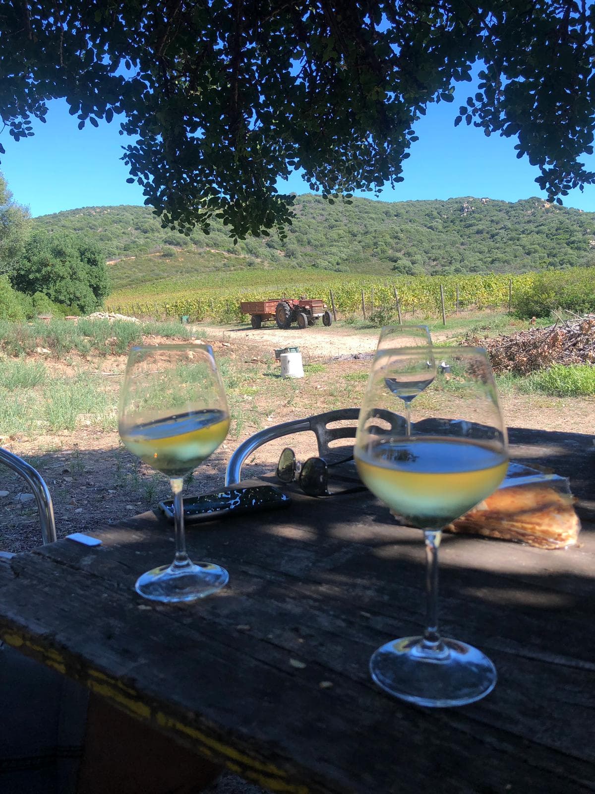 Sardinia Organic Wine & Feast at Colline Del Vento