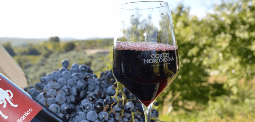 Degustação de vinhos e visita guiada à Corte Normanna Agricola