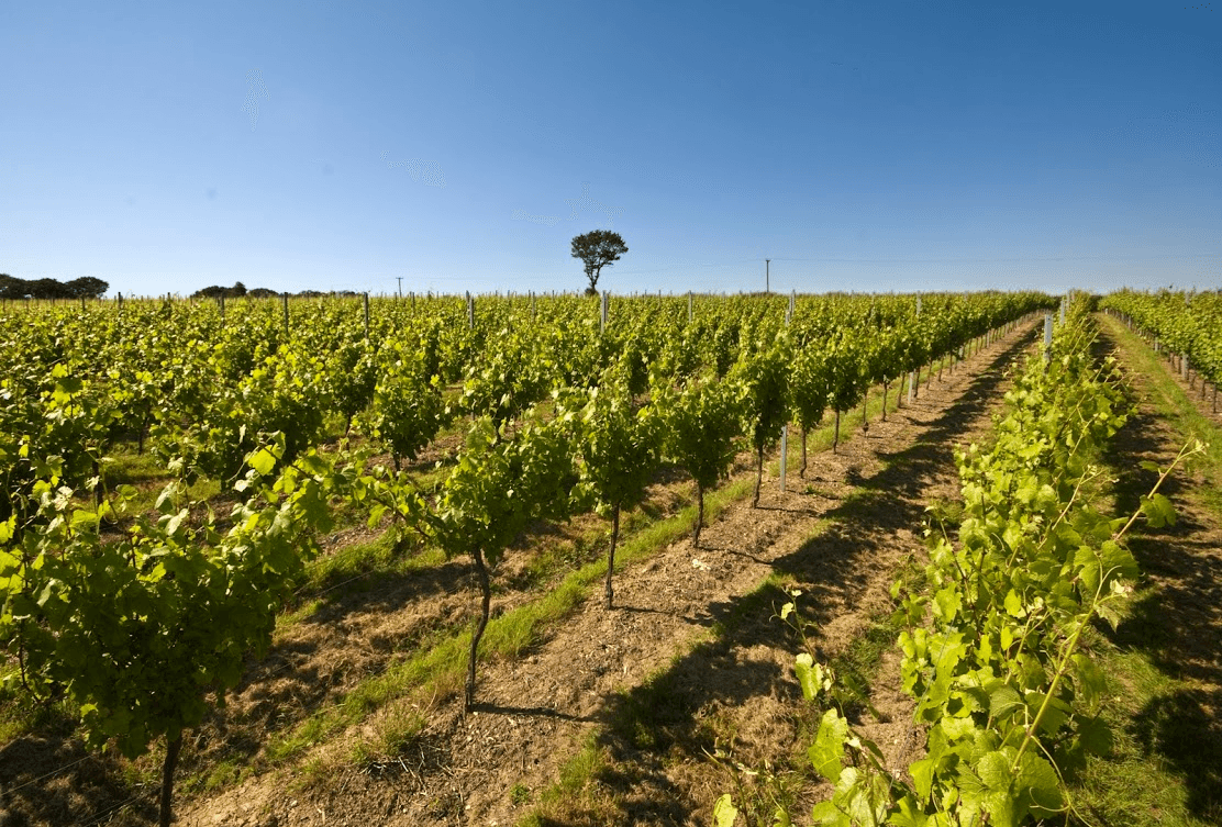 Court Garden Winery