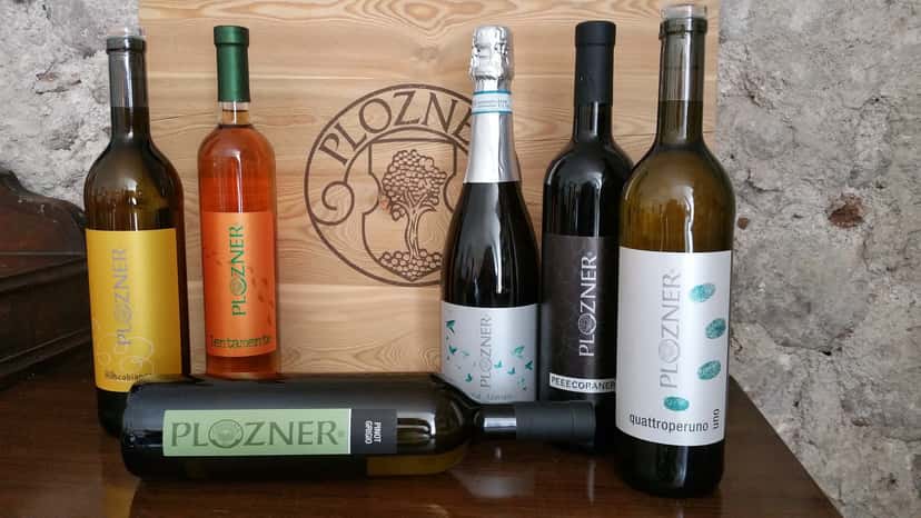 Weinprobe und Tour bei Cristiana Bettili Wines
