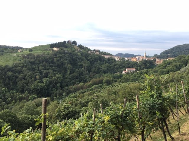Degustazione e visita a Crodi