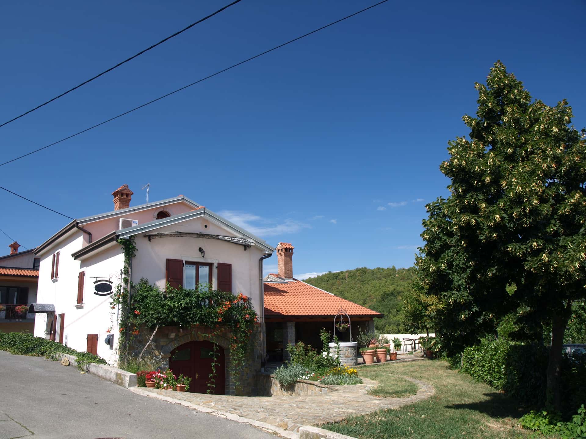Degustação de vinhos e passeio em Domačija Ražman