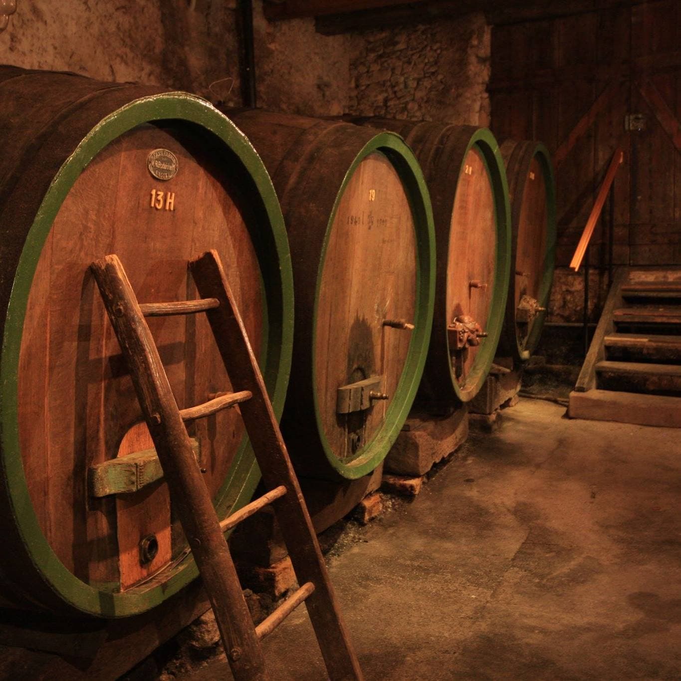 Domaine Jean-Louis Schoepfer foto 4