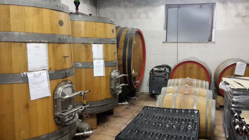 Weinprobe und Tour bei Failoni