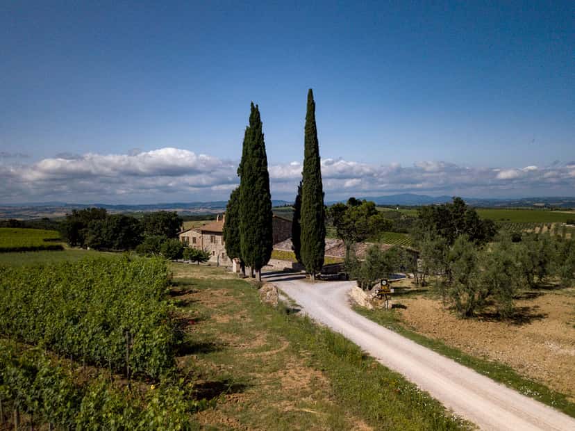 Tuscan Boutique Wine Tour & Tasting at Fattoi