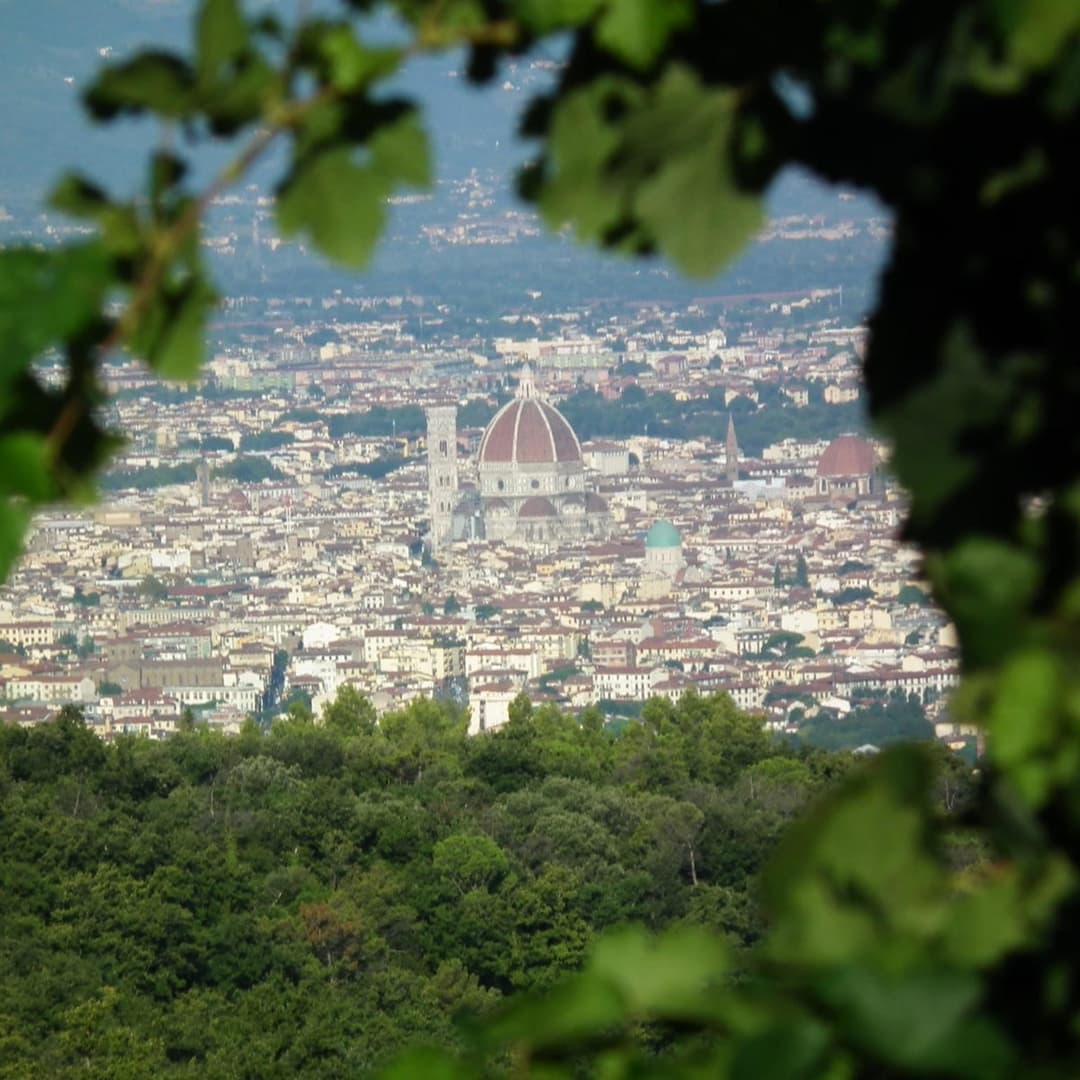 Fattoria-le-sorgenti-view-1200x1200