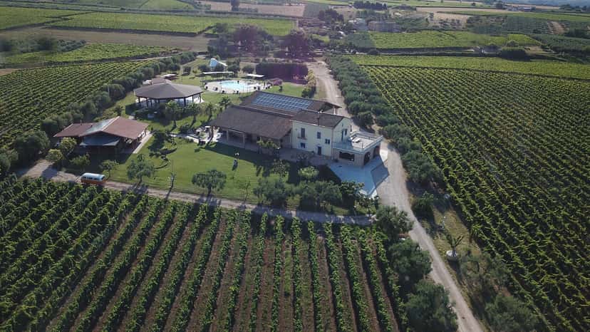 Fontefico Winery
