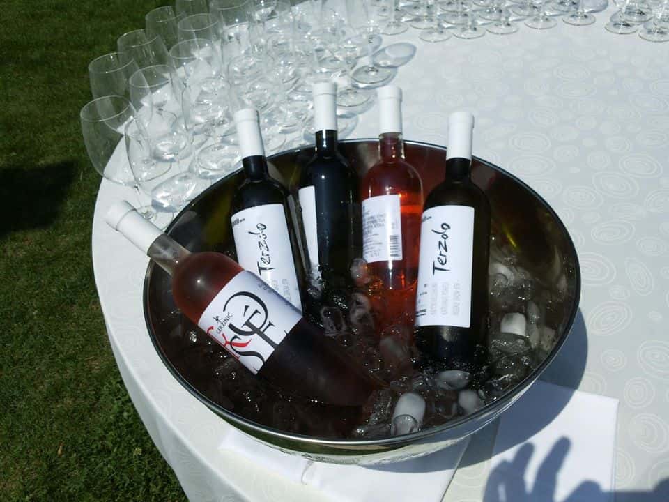 Weinprobe und Führung im Weingut Gerzinic