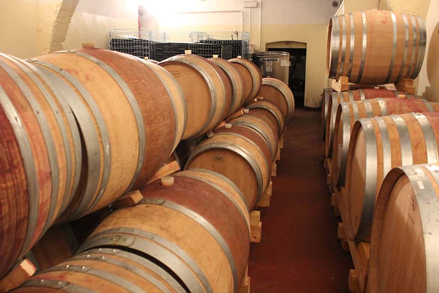 Wine tasting and tour at Azienda Agricola La Travaglina