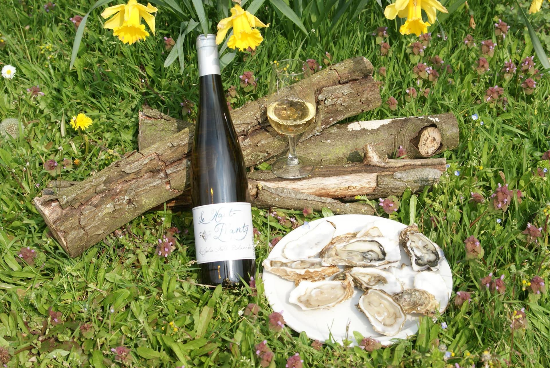 Domaine du Haut Planty foto 4