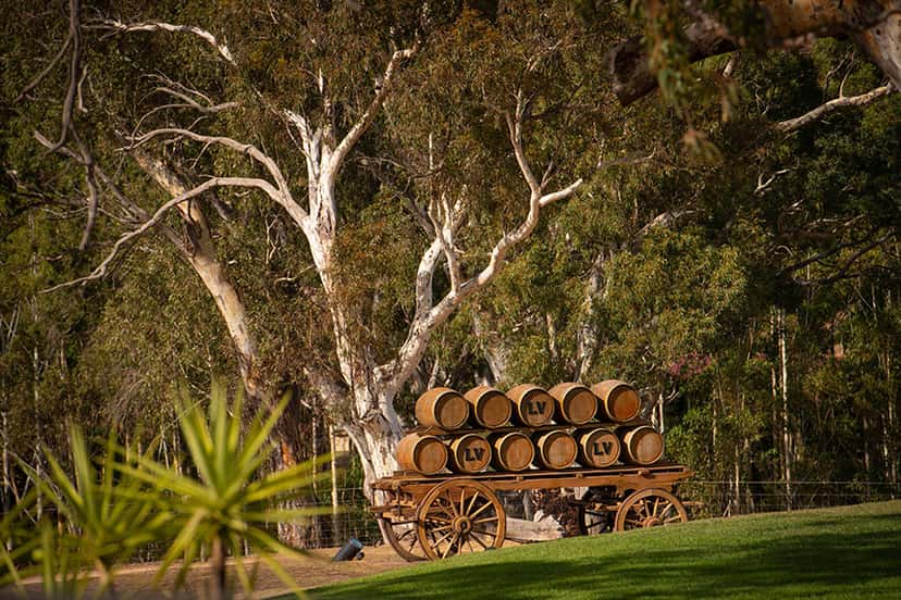 Longview Vineyard
