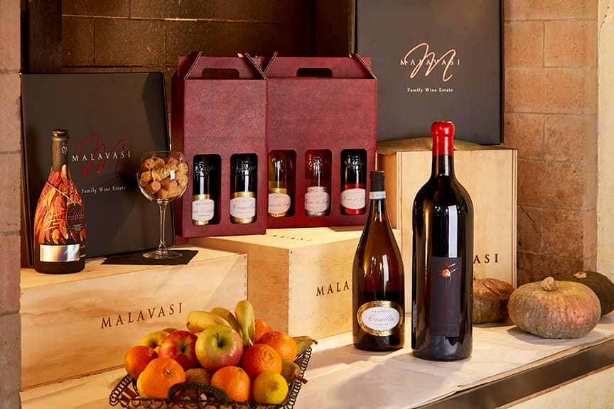 Degustação de vinhos em Malavasi