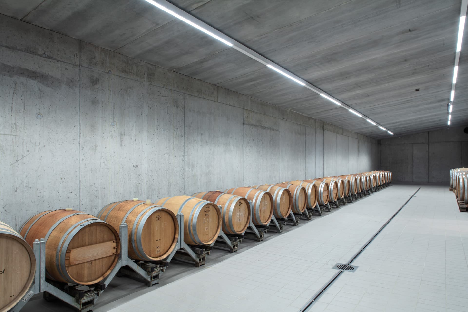 Degustação de vinhos e tour na vinícola Messnerhof