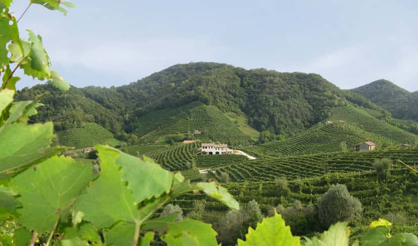 Perlage Winery