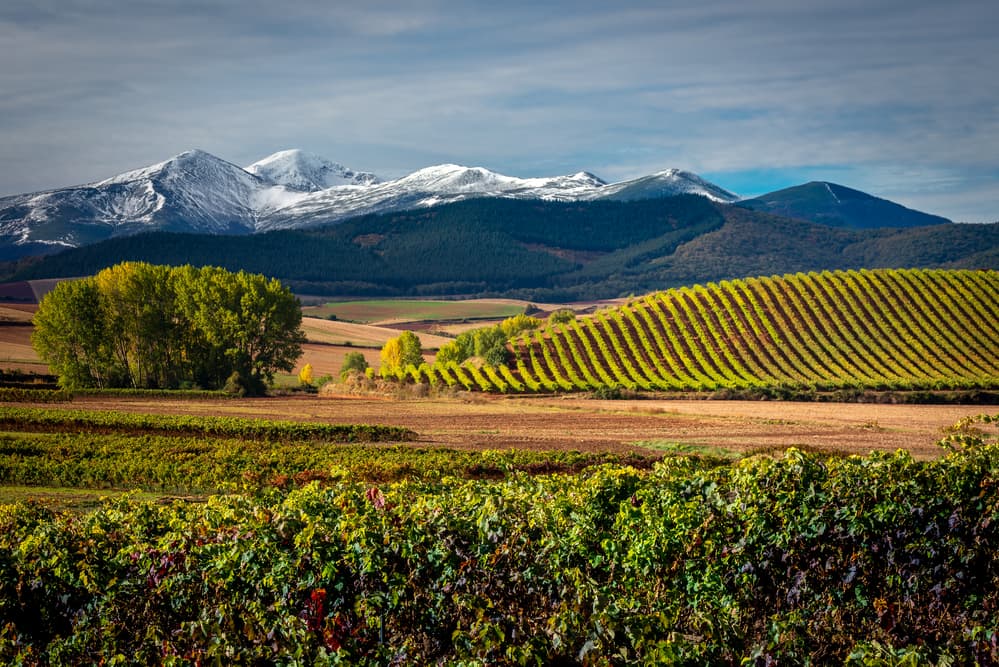 Rioja