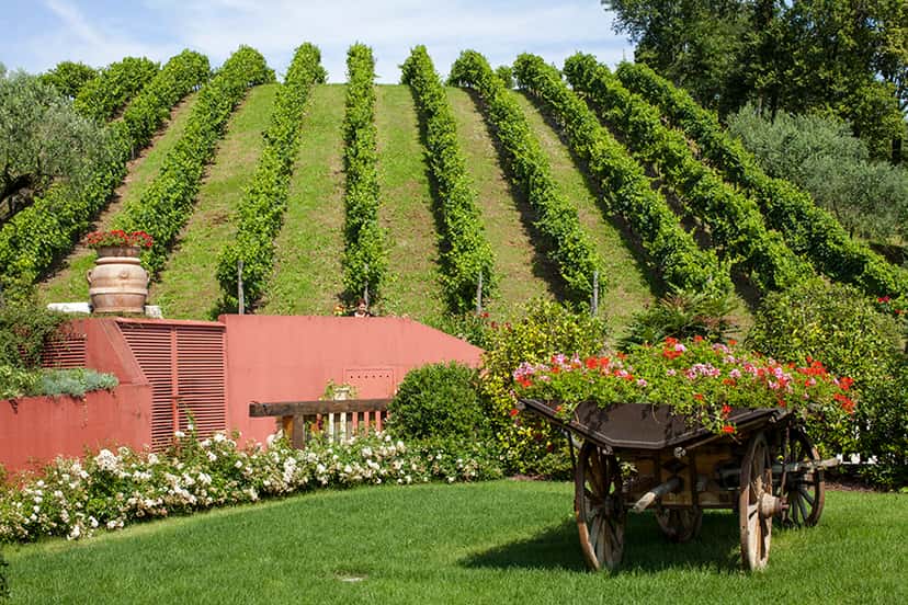 Tenuta Zago Gasparini