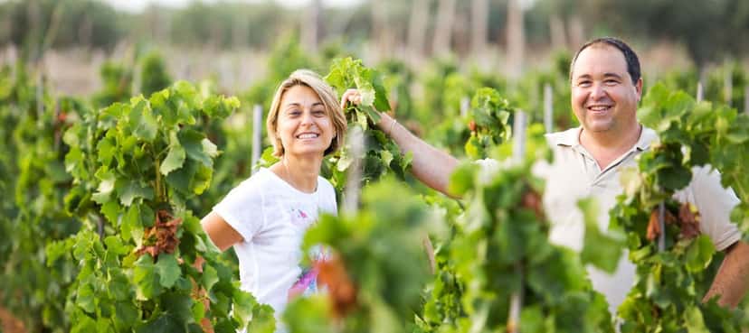 Sicily’s Organic Wine & Vineyard Tour at Tenuta Bastonaca